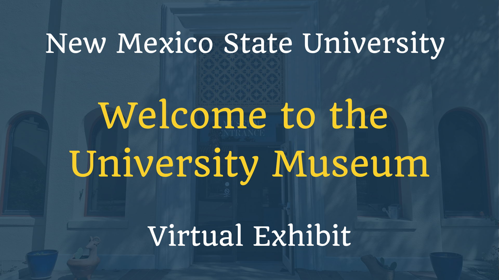 Welcome to the University Museum